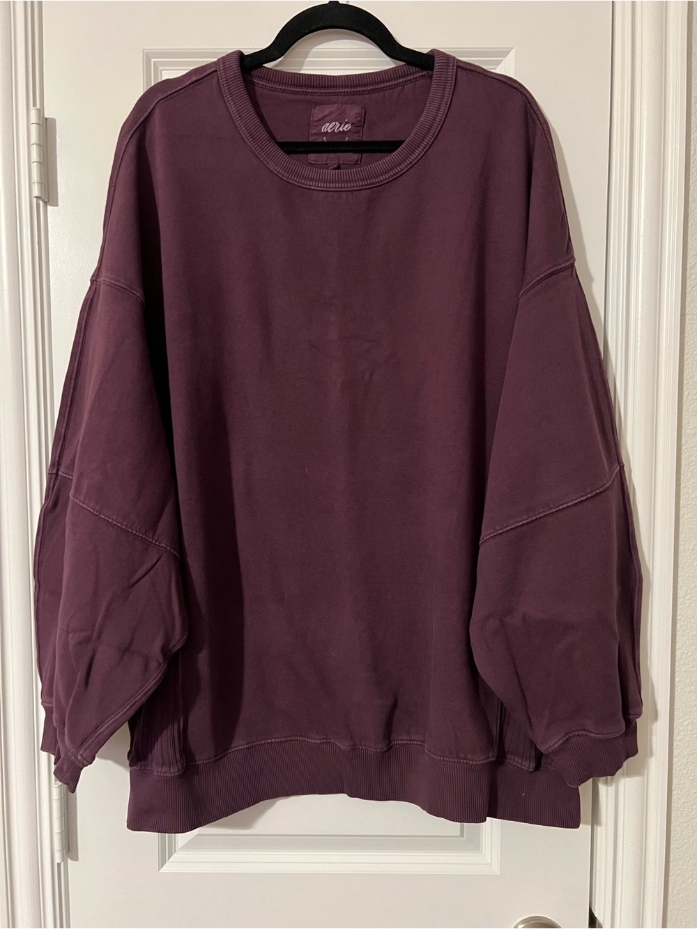 aerie Oversized Crewneck Sweatshirt in Plum